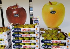 La Renetta è la più adatta per i dolci