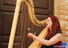 Intrattenimento musicale – arpa e voce