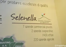 I numeri di Selenella