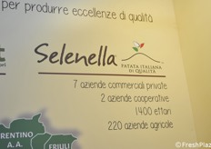 I numeri di Selenella