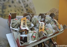 Meloni in esposizione