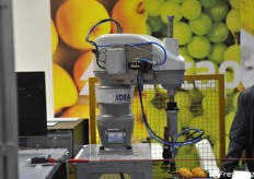 Particolare di robotizzazione della selezionatrice Zetapack