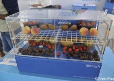 Biofresh, esempio in miniatura del funzionamento di una cella