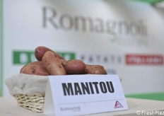 Una delle varietà esposte