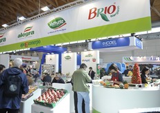 Stand di famiglia per il gruppo Apo Conerpo