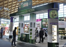 Il grande stand di Funghi di Treviso