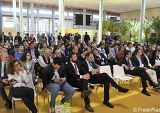 Congresso sull'uva da tavola