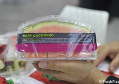 Minianguria tagliata