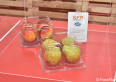 Il primo premio per il packaging va al vassoio "con airbag" per la frutta delicata o ready-to-eat: è il Soft Fruit Protector (Ilip, Valsamoggia - BO) che ammortizza urti e sollecitazioni preservando l'integrità del frutto