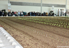Macfrut in Campo, una delle iniziative più apprezzate. Un vero e proprio campo di oltre 700 mq, dove nei tre giorni di fiera si sono alternate le dimostrazioni delle più avanzate soluzioni meccaniche per l'orticoltura
