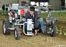 Dimostrazione di macchina elettrica per raccogliere asparagi a Macfrut in Campo