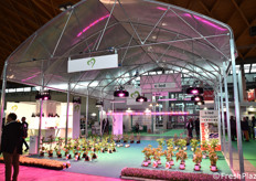 Esempi di strutture serricole con illuminazione artificiale specifica.