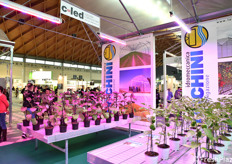 Alcune soluzioni proposte da Idromeccanica Lucchini