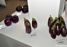 Altre varietà di melanzane proposte da L'Ortolano S.r.l.