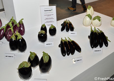 Altre varietà di melanzane proposte da L'Ortolano S.r.l.