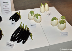 Altre varietà di melanzane proposte da L'Ortolano S.r.l.