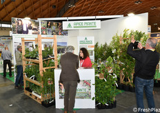 Lo stand Apice Piante