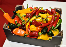 Peperoni multicolor nello stand collettivo cinese