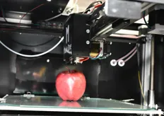 Particolare di stampa 3D allo stand Mark One. No, no è una mela stampata in 3D!