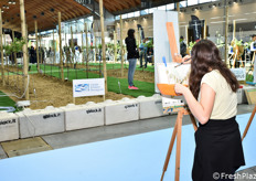 Giovani studenti si cimentano nel ritratto degli impianti dell'AcquaCampus