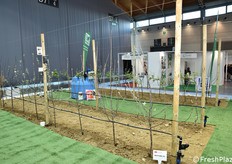 Una vista dell'AcquaCampus