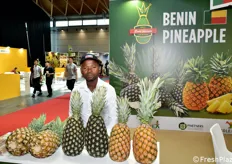 Grandi ananas allo stand del Benin