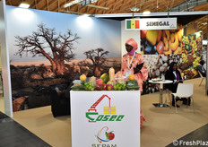 Lo stand del Senegal
