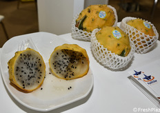 Pitahaya, o frutto del drago, in uno stand dell'Ecuador