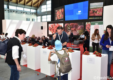 A Macfrut 2019 era allestita anche una mostra pomologica dedicata alle fragole
