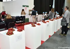 La mostra pomologica dedicata alle fragole