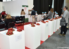 La mostra pomologica dedicata alle fragole