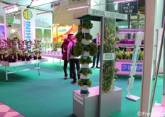 Esempi di vertical cultivation.