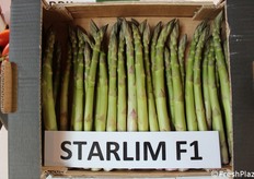 Starlim, asparago verde firmato Limgroup.