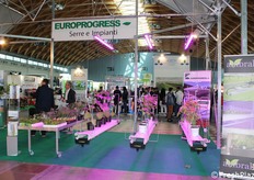 Esempio di serra sviluppata da Europrogress, con luci artificiali della Ambralight e canaline della PTre.