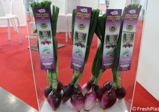 Altra tipicità calabrese: la Cipolla Rossa di Tropea Calabria Igp.