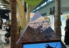 Nello stand veneto sono stati recuperati alcuni dei tronchi degli alberi abbattuti dal ciclone che ha colpito i boschi delle Dolomiti a ottobre 2018