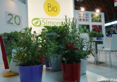 Dettaglio dei vasetti in ceramica colorata. Una tiratura limitata solo per particolari ricorrenze/prodotti