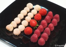 Una proposta di bacche e piccoli frutti che non lascia indifferenti...