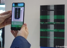 Dimostrazione in diretta di una nuova app sviluppata da IFCO per un'immediata classificazione delle cassette impilate su un pallet misto