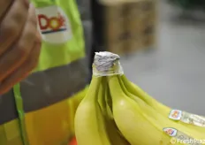 Particolare della protezione al taglio nelle banane bio