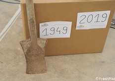 Lavoro pionieristico