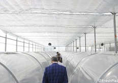 Continua la visita nella nuova serra