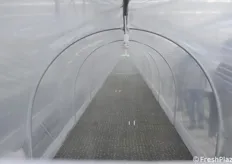Ugelli per aspersione acqua nel microtunnel