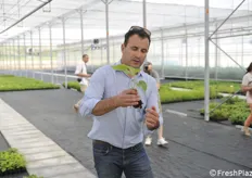 Pietro Dalmonte con una pianta di kiwi in fase di sviluppo