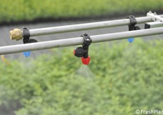 Ugelli diversi per distinguere eventuali fertirrigazioni 