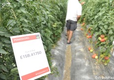 In visita alle prove in serra