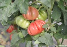 Oltre al colore l'attenzione è stata rivolta al sapore