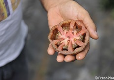 Tipologia di colore nero