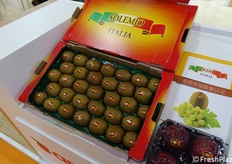 Solemio, marchio Apofruit per l'Oriente