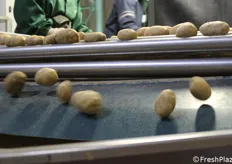 Le patate rotolano quindi alla fase successiva.